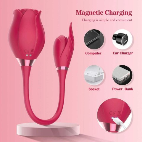 Wibrator różyczka, róża, Wibrator ROSE Miss Coyness USB 20 function Wibrator różyczka, róża, Wibrator ROSE Miss Coyness USB 20 function