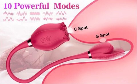 Wibrator różyczka, róża, Wibrator ROSE Miss Coyness USB 20 function Wibrator różyczka, róża, Wibrator ROSE Miss Coyness USB 20 function