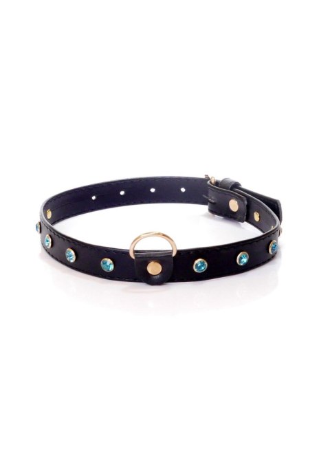 Fetish Boss Series Fetish Boss Series Collar - 2 cm turquoise crystal Fetish Boss Series Fetish Boss Series Collar - 2 cm turquoise crystal