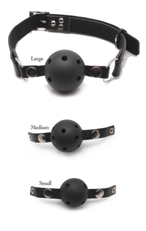 Fetish Fantasy Series FFS Ball Gag Training System Fetish Fantasy Series FFS Ball Gag Training System