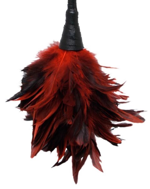 Fetish Fantasy Series FFS Frisky Feather Duster Fetish Fantasy Series FFS Frisky Feather Duster