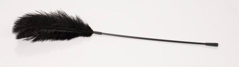 Bad Kitty Black feather Bad Kitty Bad Kitty Black feather Bad Kitty