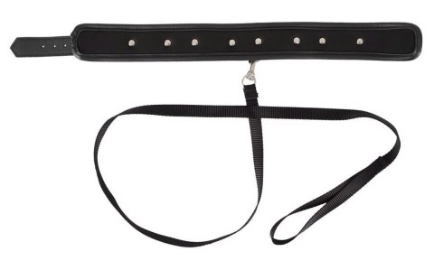Vegan Fetish Collar vegan Vegan Fetish Collar vegan
