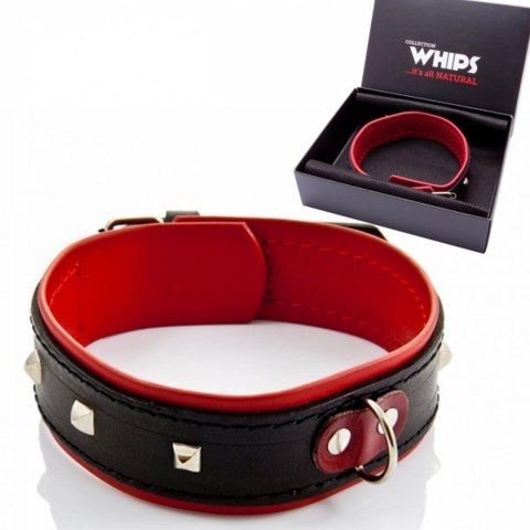 Whips Collections Wiązania-WHIPS obroża damska z ćwiekami Whips Collections Wiązania-WHIPS obroża damska z ćwiekami