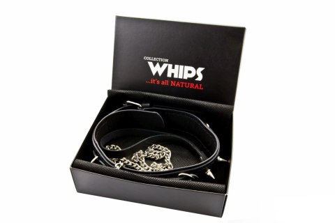 Whips Collections Wiązania-WHIPS obroża męska z ćwiekami i smyczą Whips Collections Wiązania-WHIPS obroża męska z ćwiekami i smyczą