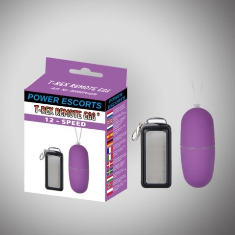T rex remote egg purple remote control egg 12 speed T rex remote egg purple remote control egg 12 speed