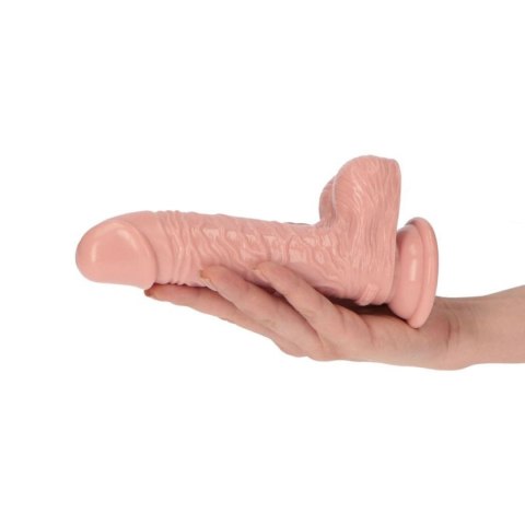 Dildo penis 16 cm Dildo penis 16 cm