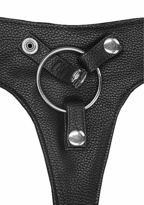 Elastic Harness Elastic Harness