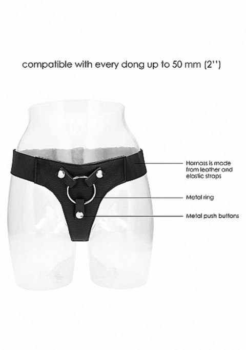 Elastic Harness Elastic Harness