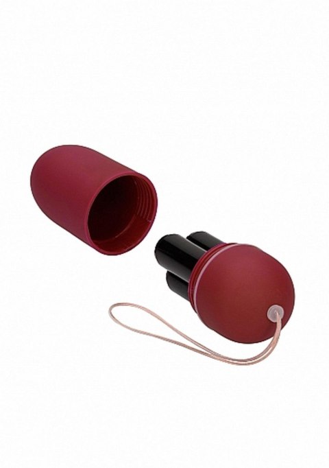 10 Speed Remote Vibrating Egg - Big - Red 10 Speed Remote Vibrating Egg - Big - Red