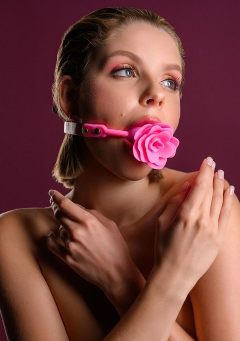 Mouth Gag Pink Mouth Gag Pink