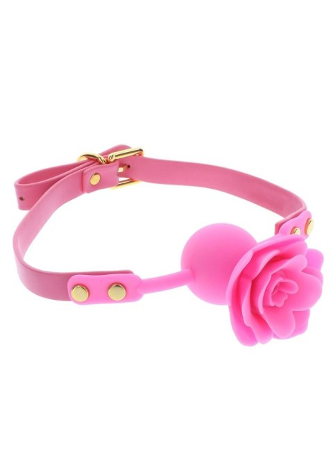 Mouth Gag Pink Mouth Gag Pink