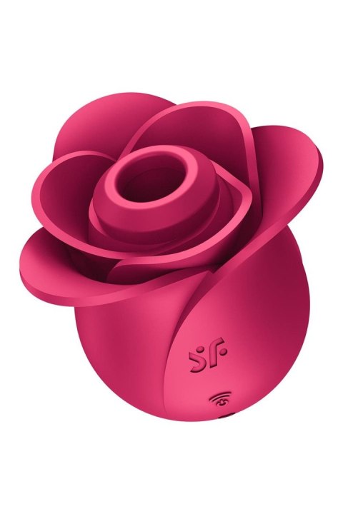 15 Pro 2 Modern Rose 15 Pro 2 Modern Rose