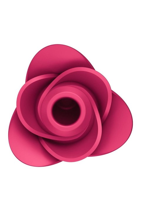 15 Pro 2 Modern Rose 15 Pro 2 Modern Rose