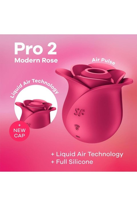 15 Pro 2 Modern Rose 15 Pro 2 Modern Rose