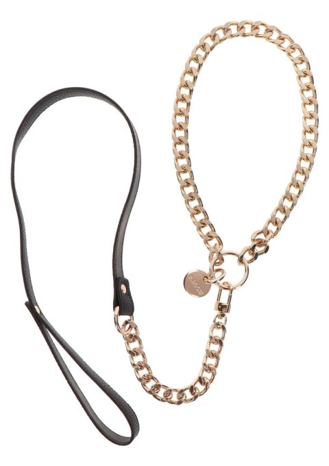 Statement Collar and leash Rose Gold Statement Collar and leash Rose Gold