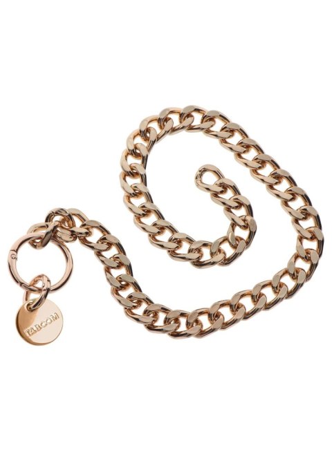 Statement Collar and leash Rose Gold Statement Collar and leash Rose Gold