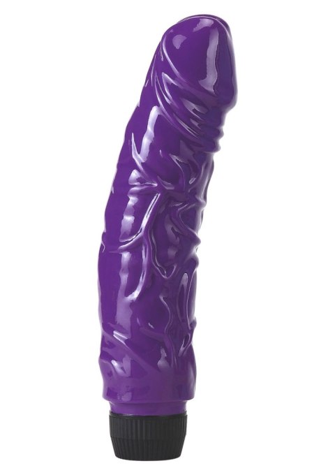 Shining Vibrator Purple Shining Vibrator Purple