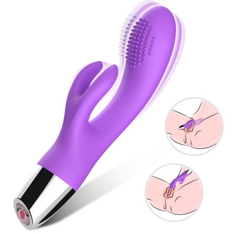 Rabbit purple Rabbit purple