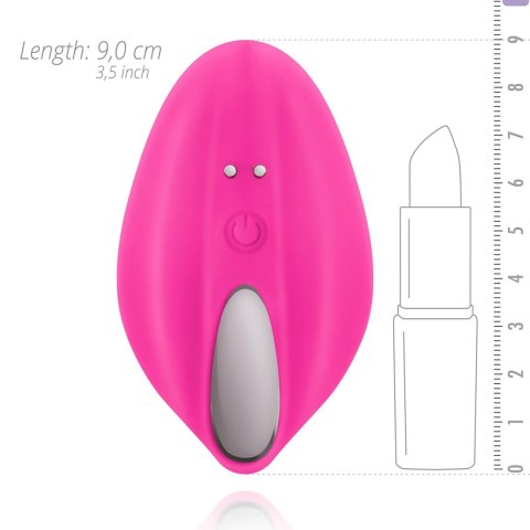 Mini Vibrator With Remote Control Mini Vibrator With Remote Control