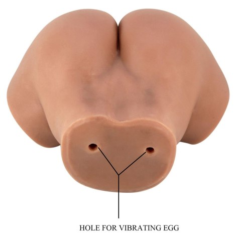 HAILEY, Double-entry masturbator's realistic vagina or anus HAILEY, Double-entry masturbator's realistic vagina or anus