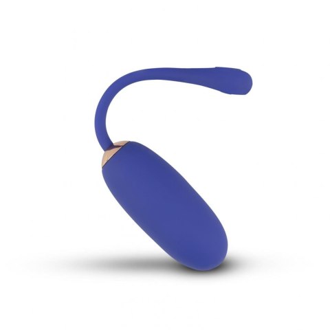 Teazers Vibrating Egg with Remote control Teazers Vibrating Egg with Remote control