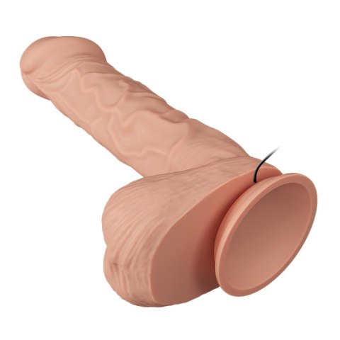 BAILE-Beautiful Bergrisi Vibration 10.2"""" BAILE-Beautiful Bergrisi Vibration 10.2""""