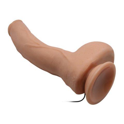 BAILE-Beautiful Jack 10.6"""" BAILE-Beautiful Jack 10.6""""