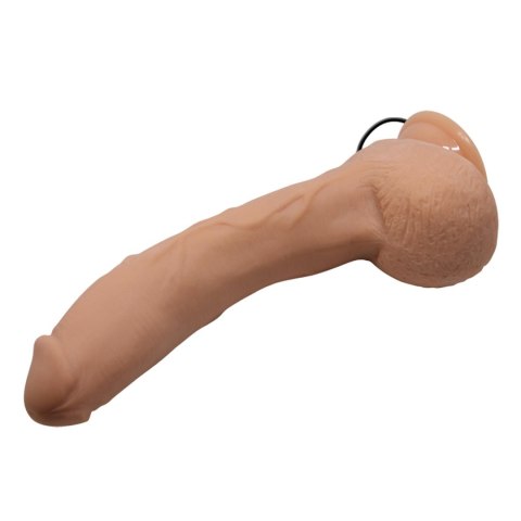 BAILE-Beautiful Jack 10.6"""" BAILE-Beautiful Jack 10.6""""