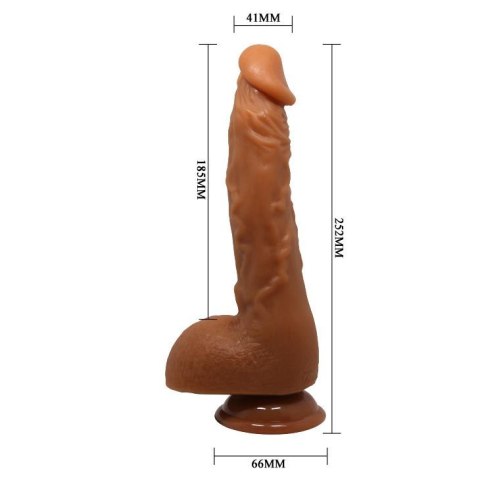 BAILE - JASON, Suction base BAILE - JASON, Suction base