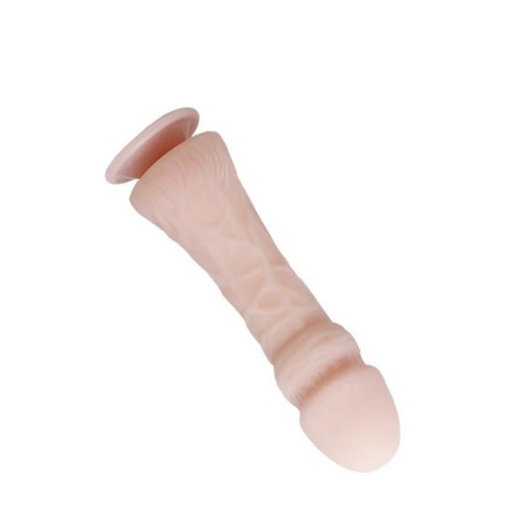 BAILE - The Big Penis BAILE - The Big Penis