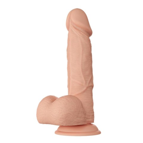 BAILE-Beautiful Bahamut 8.5"""" BAILE-Beautiful Bahamut 8.5""""