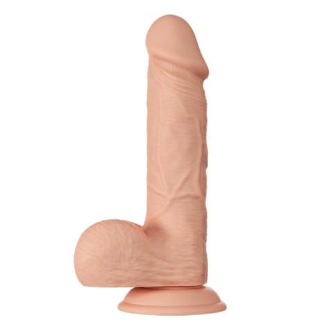 BAILE-Beautiful Bahamut 8.5"""" BAILE-Beautiful Bahamut 8.5""""