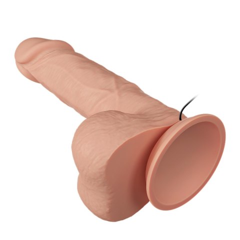 BAILE-Beautiful Bahamut Vibration 8.5"""" BAILE-Beautiful Bahamut Vibration 8.5""""