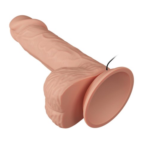 BAILE-Beautiful Catoblepas Vibration 8.1"""" BAILE-Beautiful Catoblepas Vibration 8.1""""