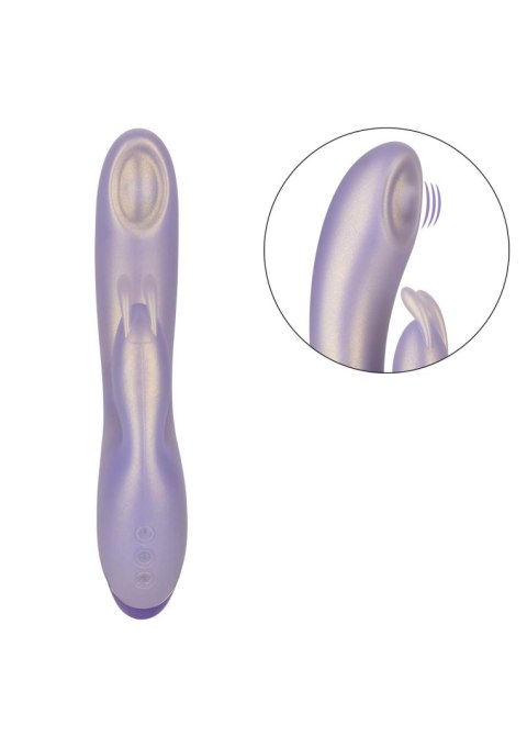 G-Love G-Bunny Purple G-Love G-Bunny Purple
