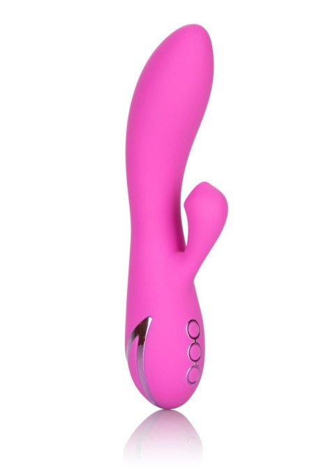 Malibu Minx Pink Malibu Minx Pink
