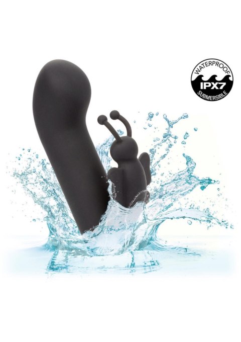 Raven Butterfly Black Raven Butterfly Black