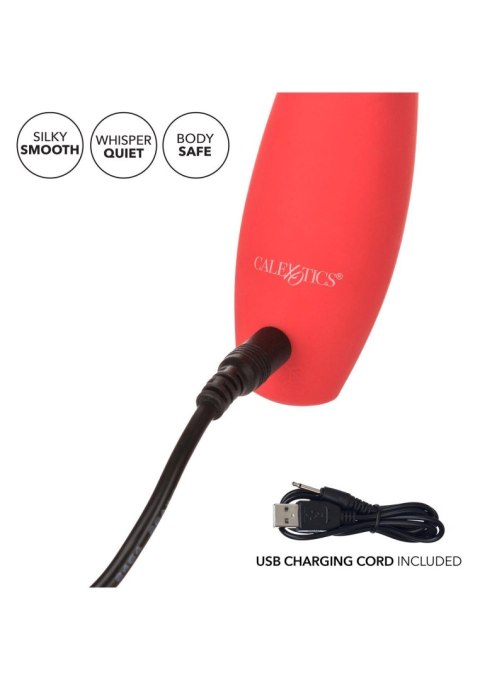 Red Hot Sizzle Red Red Hot Sizzle Red