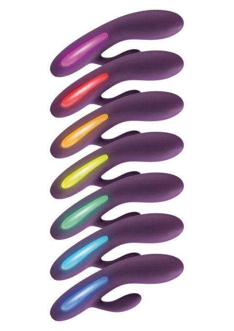 Splendor Rabbit Purple Splendor Rabbit Purple