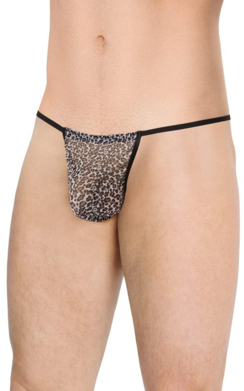 Mens Thong 4531 - grey panther OneSize Mens Thong 4531 - grey panther OneSize