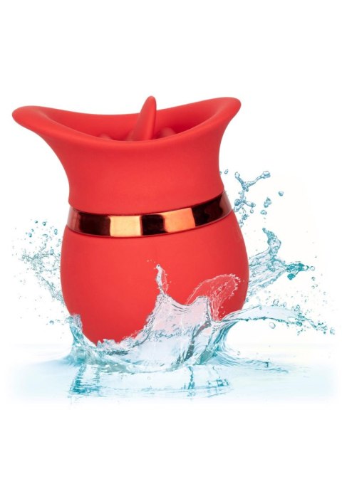 French Kiss Sweet Talker Red French Kiss Sweet Talker Red