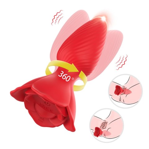 Honey Jelly Honey Jelly
