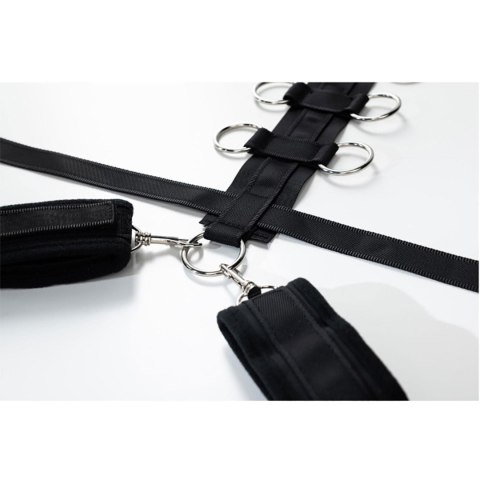 Harness with adjustable neck, belt and breastplate with rings